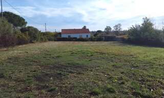 Terrain  1037 m² à vendre à Pietroso (20242)