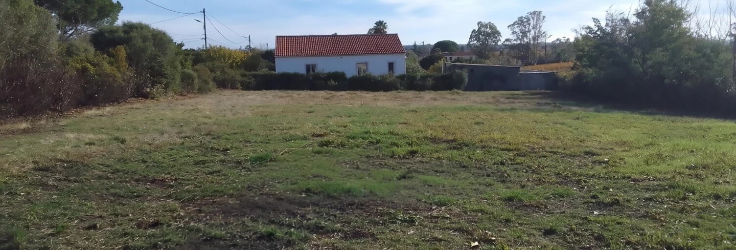 Terrain  1037 m² à vendre à Pietroso (20242)