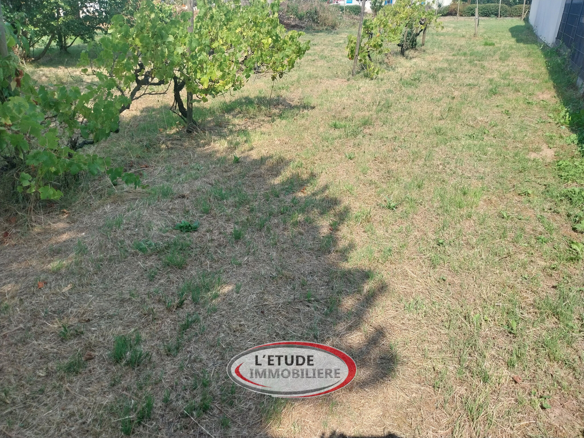 Agence immobilière de L'Etude Immobilière