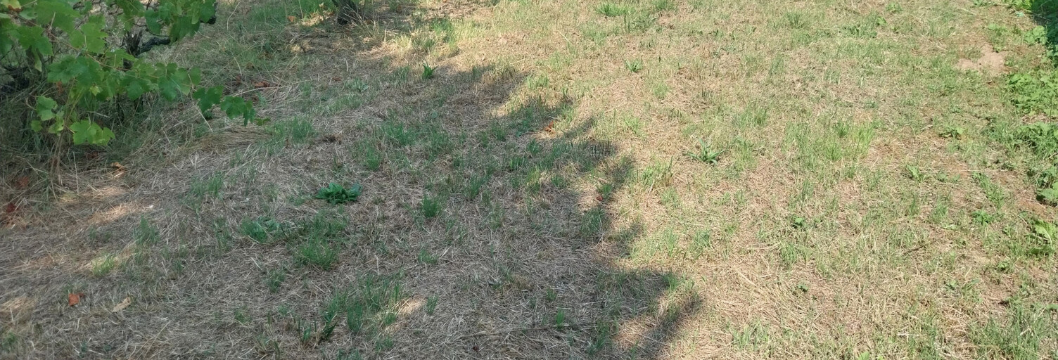 Terrain  422 m² à vendre à Sainte-Pazanne (44680)