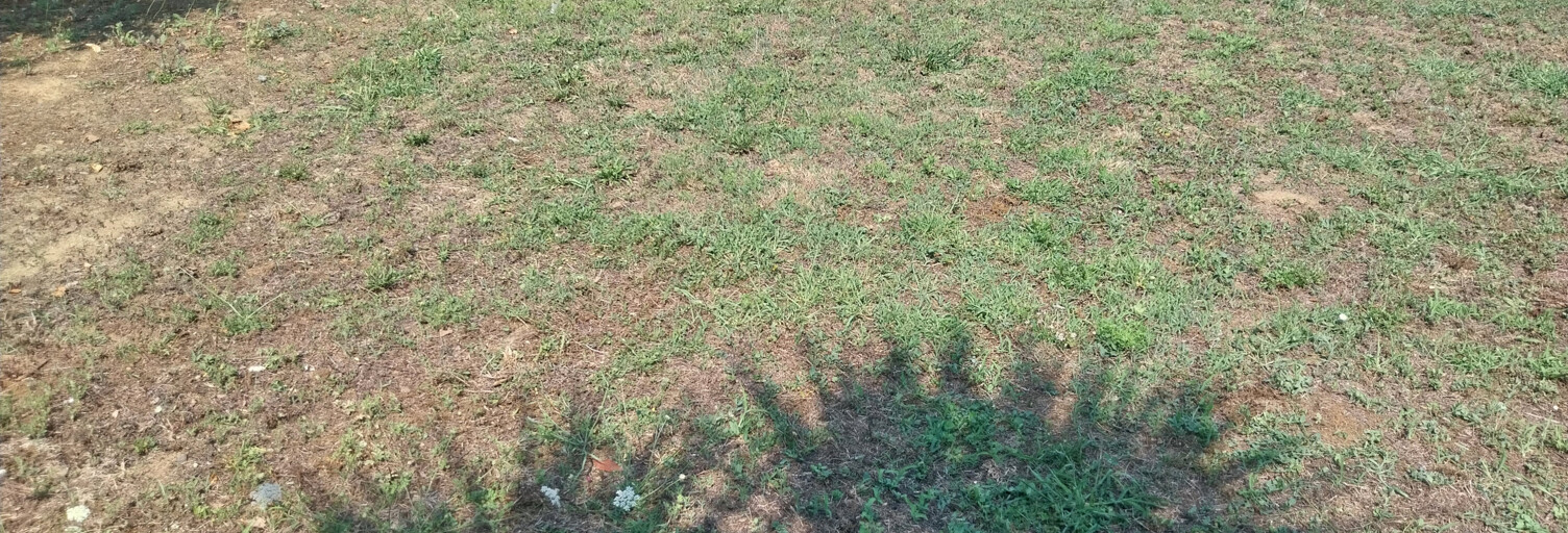 Terrain  402 m² à vendre à Sainte-Pazanne (44680)