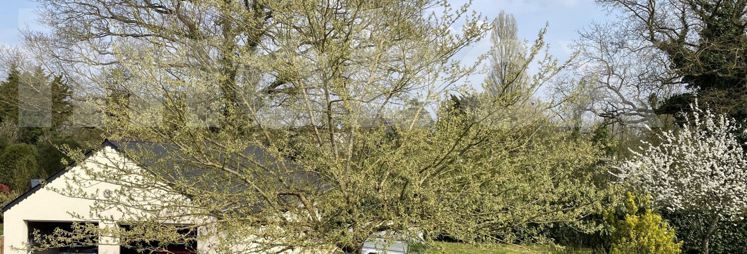 Maison 9 Pièces 210 m² à vendre à Mésanger (44522)