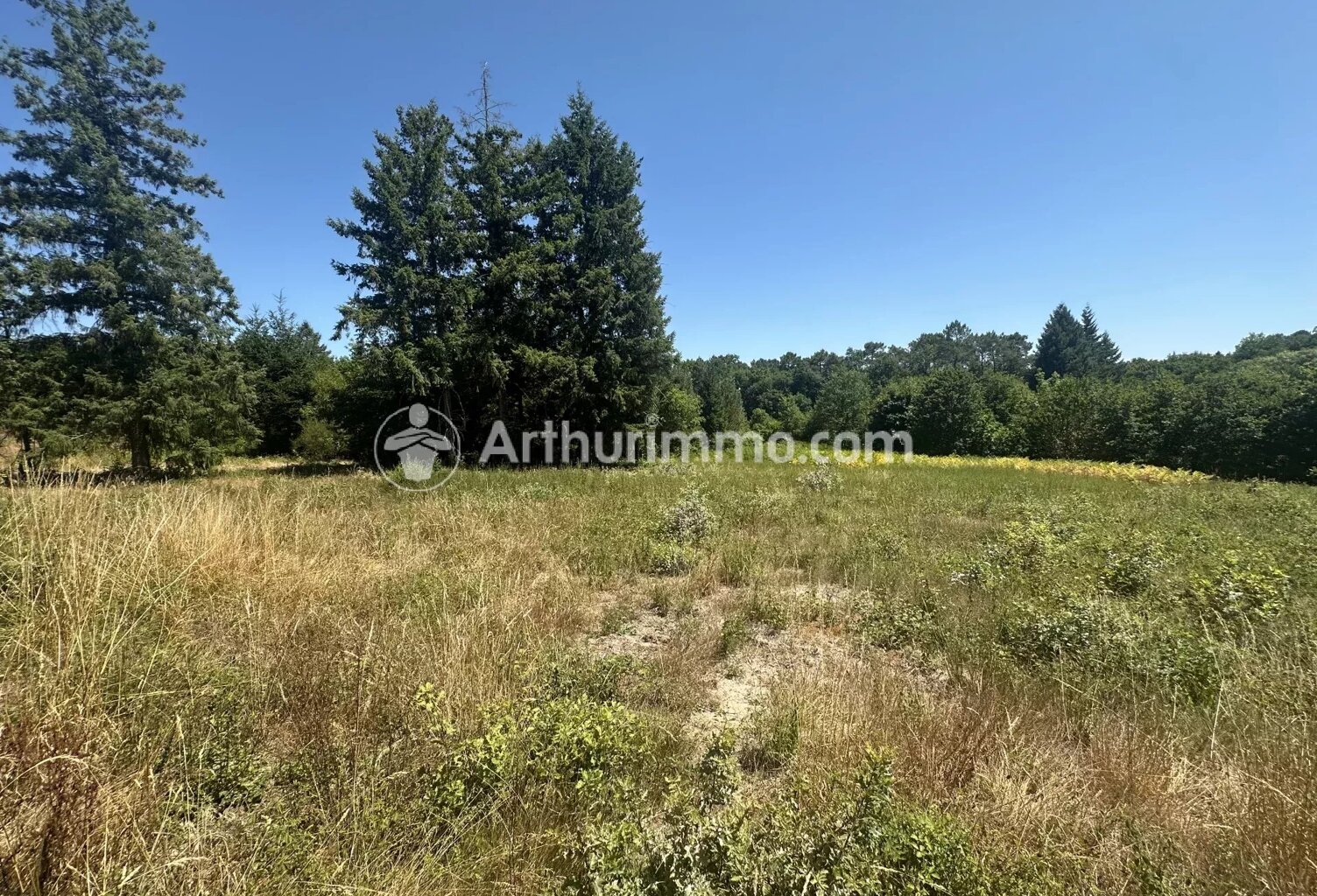 Terrain 3150 m² — photo 1