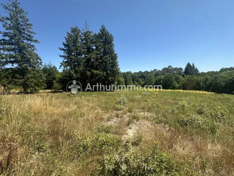 Terrain 3150 m² — photo 1