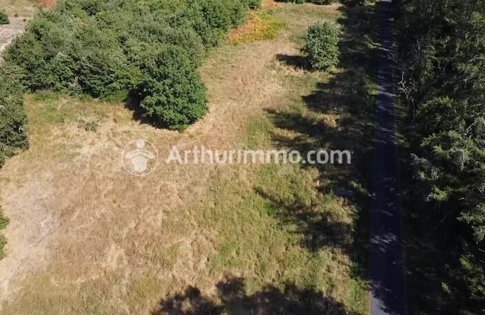 Terrain 3150 m² — photo 2