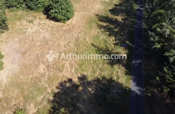 Terrain 3150 m² — photo 3