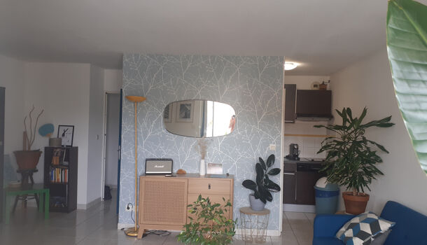 Appartement 2 pièces  à louer Perpignan 66100
