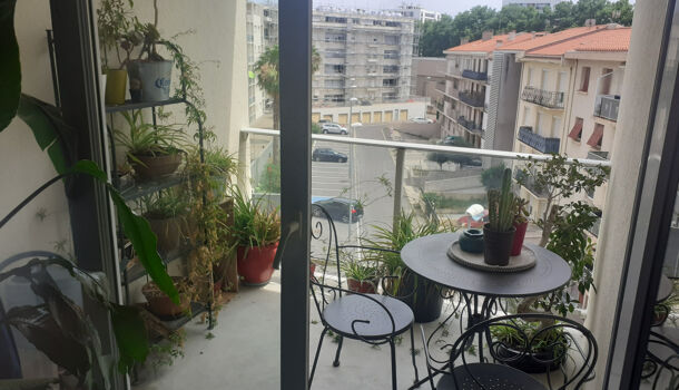 Appartement 2 pièces  à louer Perpignan 66100