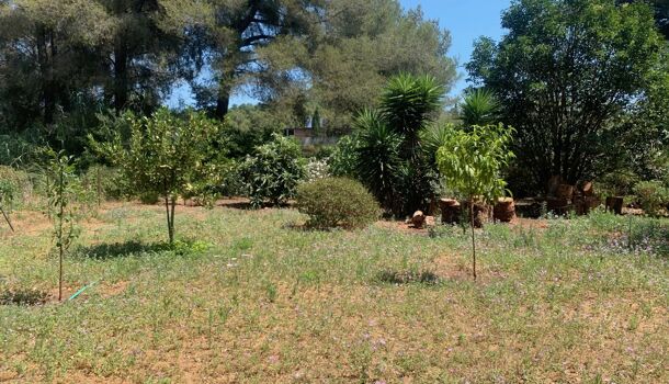 Propri&eacute;t&eacute; 12 pièces  à vendre Londe-les-Maures (La) 83250