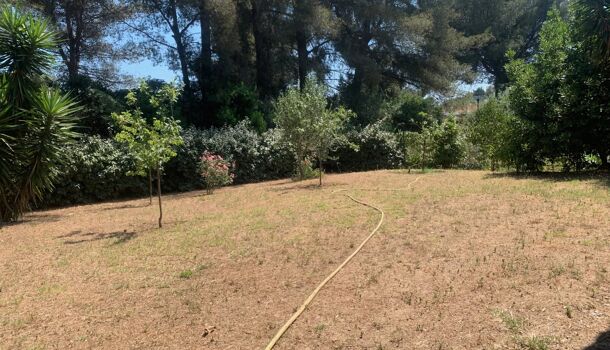 Propri&eacute;t&eacute; 12 pièces  à vendre Londe-les-Maures (La) 83250