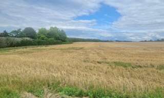 Terrain  1100 m² à vendre à Pierrepont (54620)