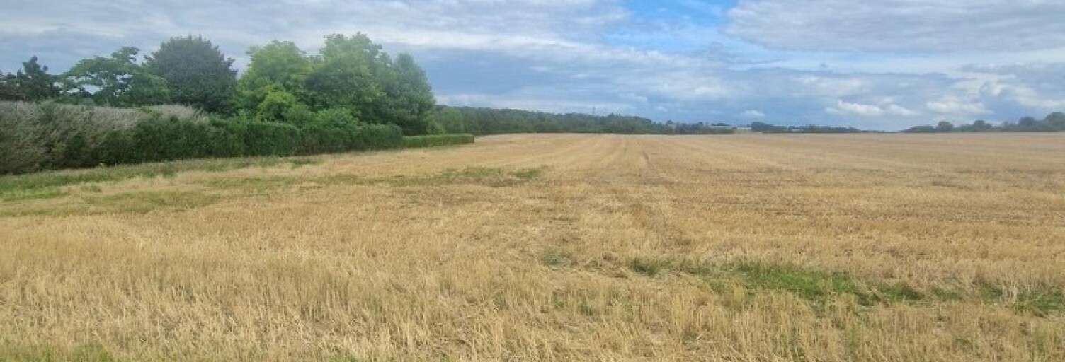 Terrain  1100 m² à vendre à Pierrepont (54620)