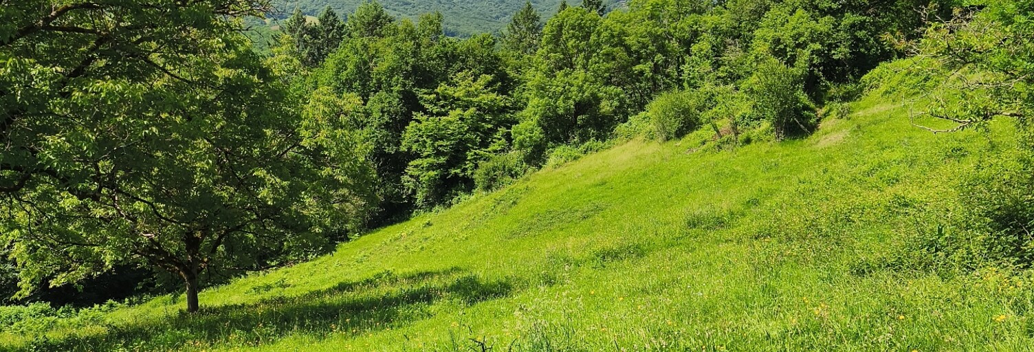 Terrain  9500 m² à vendre à Beynat (19190)