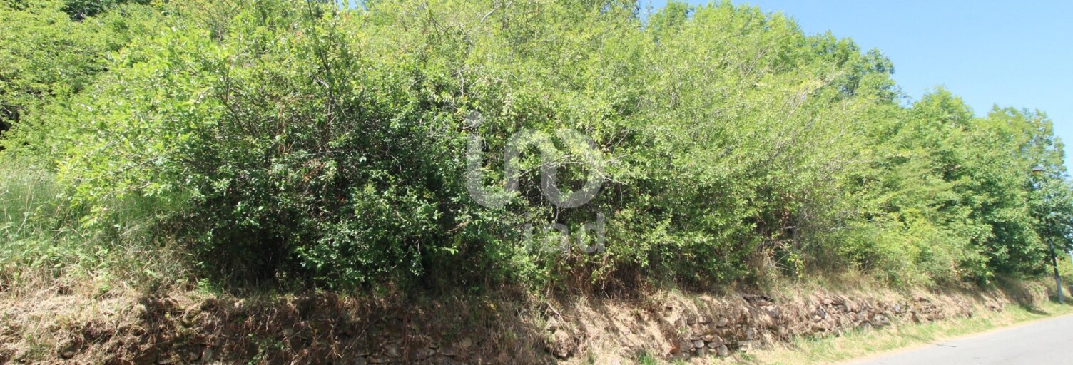 Terrain  1288 m² à vendre à Viala-du-Tarn (12490)