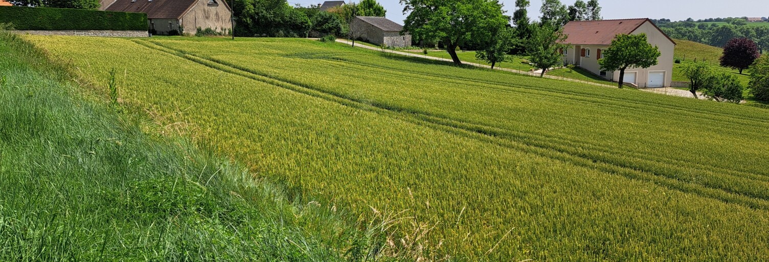 Terrain  3140 m² à vendre à Besson (03210)