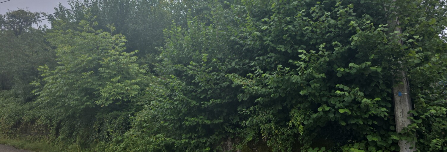 Terrain  923 m² à vendre à Châtel-Saint-Germain (57160)