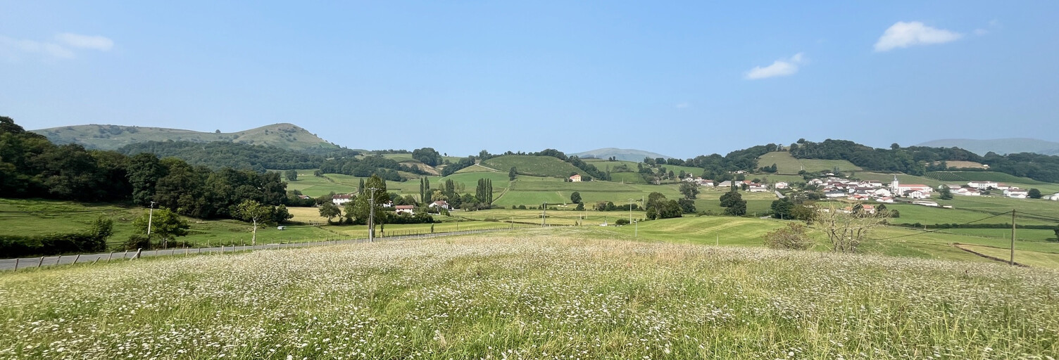 Terrain  1400 m² à vendre à Jaxu (64220)