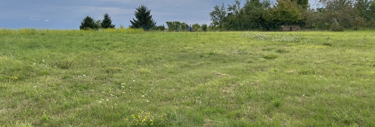 Terrain  2350 m² à vendre à Magnant (10110)