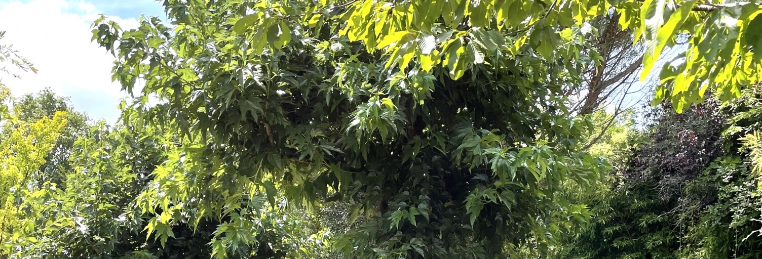 Maison 7 Pièces 153 m² à vendre à La Chapelle-sur-Erdre (44240)