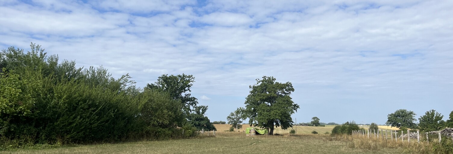 Terrain  3048 m² à vendre à Vic-de-Chassenay (21140)