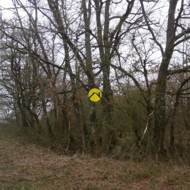 Maison 1 pièces 19000 €