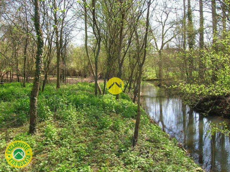 LE CALME ASSURE — photo 1
