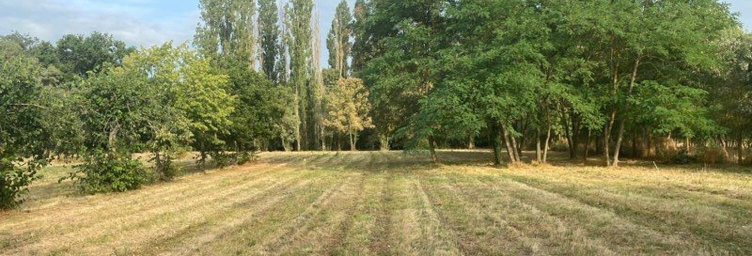 Terrain  3862 m² à vendre à Toulouse (31300)