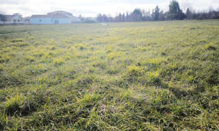 Terrain  638 m² à vendre à Rabastens (81800)