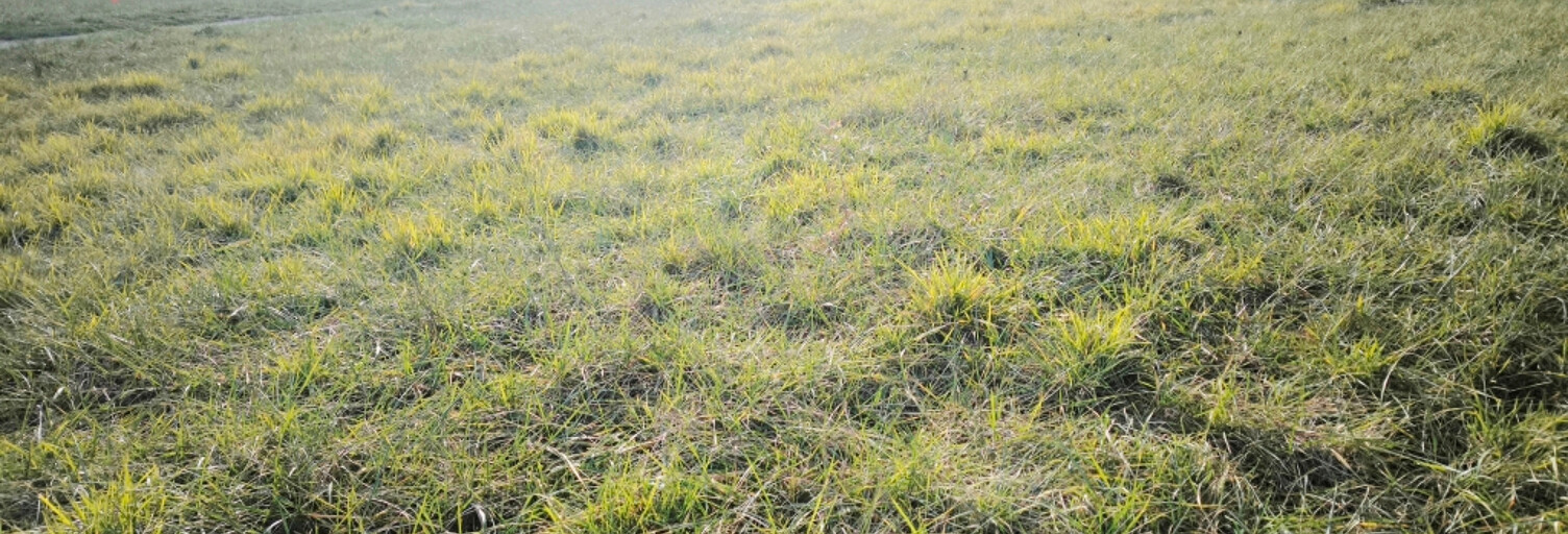 Terrain  638 m² à vendre à Rabastens (81800)