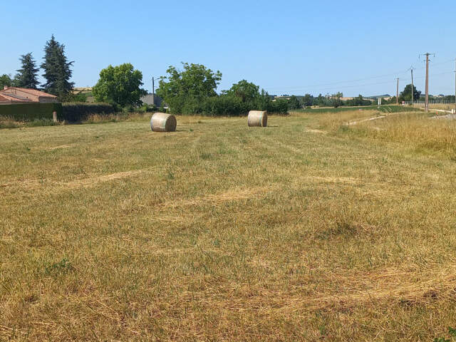 Rabastens Terrain à bâtir plat de 638 m2  Entre l'école et le collège Proche du centre ville — photo du bien