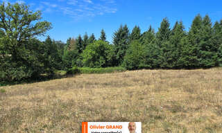 Terrain  8875 m² à vendre à Peyrilhac (87510)