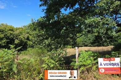 Terrain  29500 €