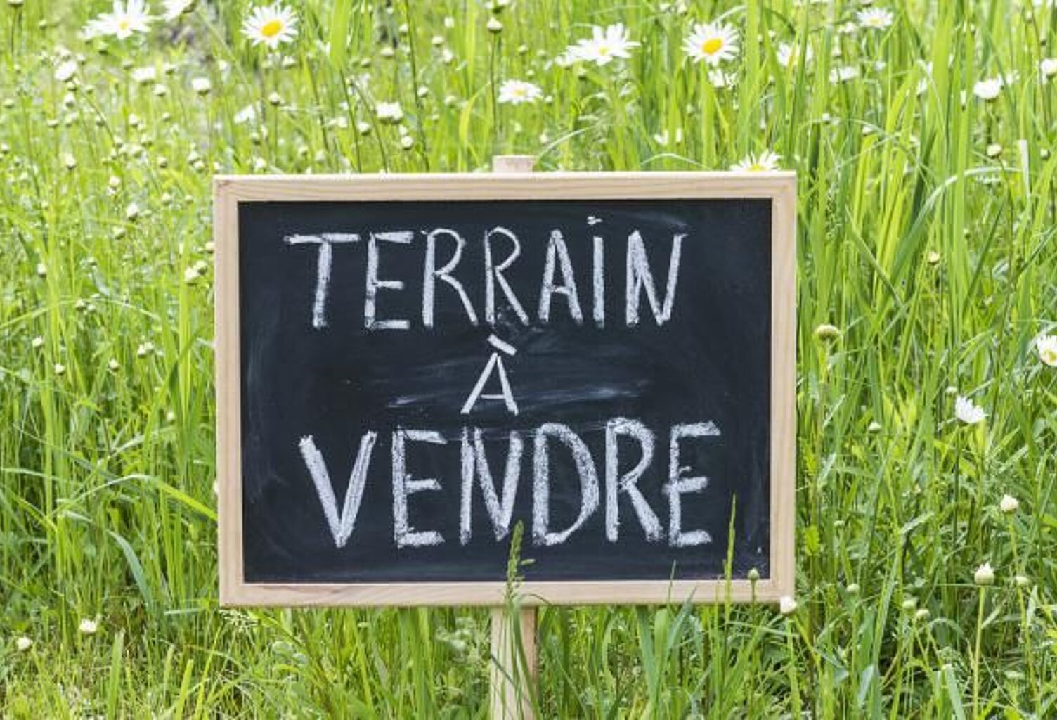 Terrain À Vendre — photo 1