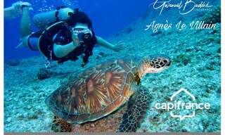 Commerce 2 Pièces 20 m² à vendre à Bouillante (97125)