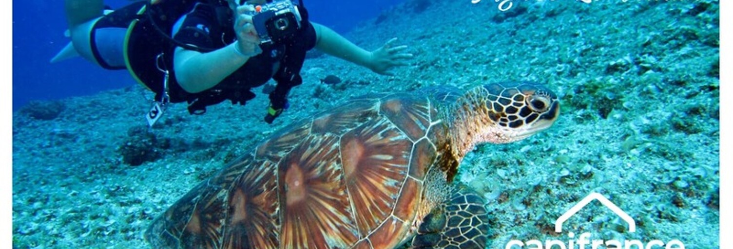 Commerce 2 Pièces 20 m² à vendre à Bouillante (97125)