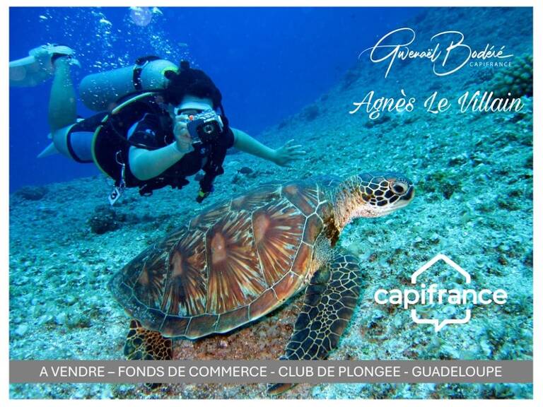 À Vendre Fonds de Commerce Centre de Plongée Emplacement d’Exception à Bouillante (Guadeloupe) — photo 1