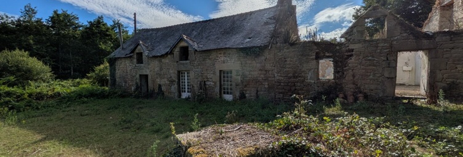 Maison 12 Pièces 430 m² à vendre à Séglien (56160)