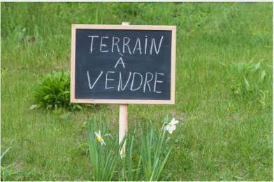 Terrain  55500 €