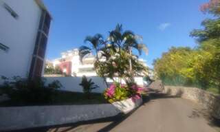 Appartement 1 Pièce 34 m² à louer à Saint-Denis (97490)