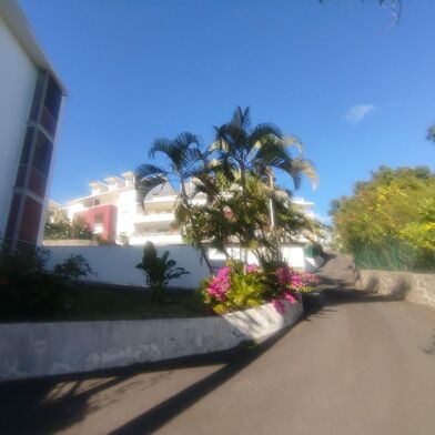 Appartement 1 pièces 580 €