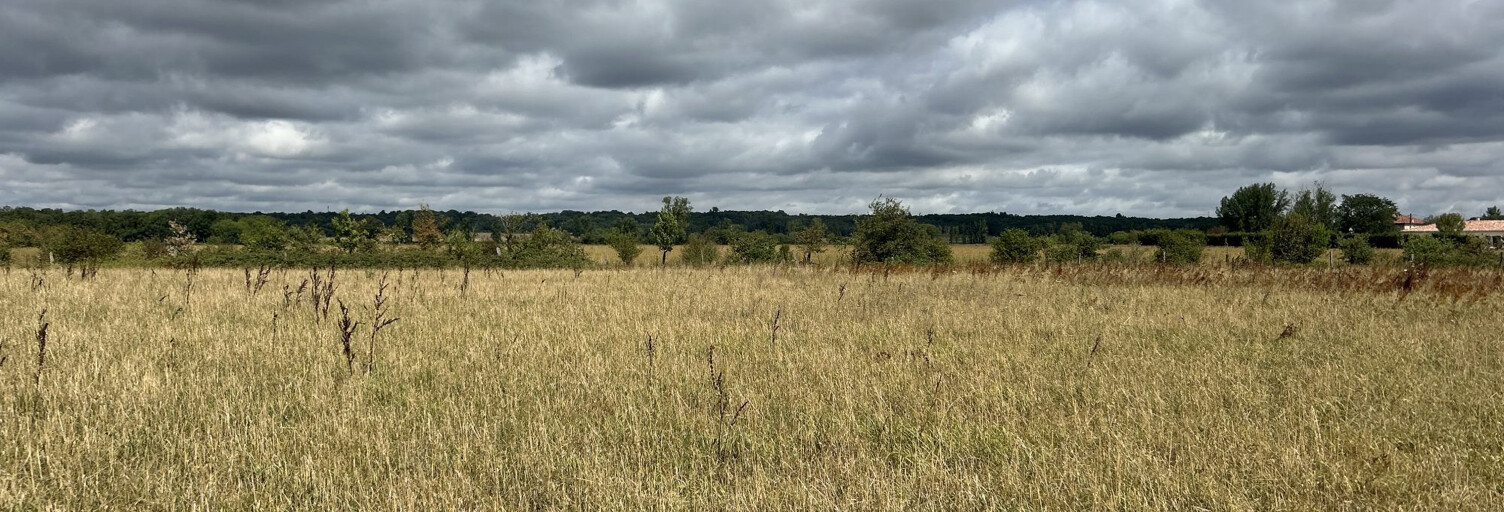 Terrain  3039 m² à vendre à Longages (31410)