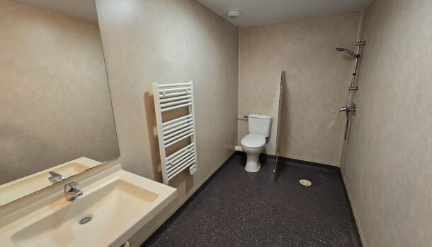 Appartement 2 pièces  à vendre Grenoble 38100