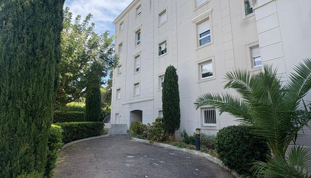 Appartement 3 pièces  à louer Marseille 8eme 13008