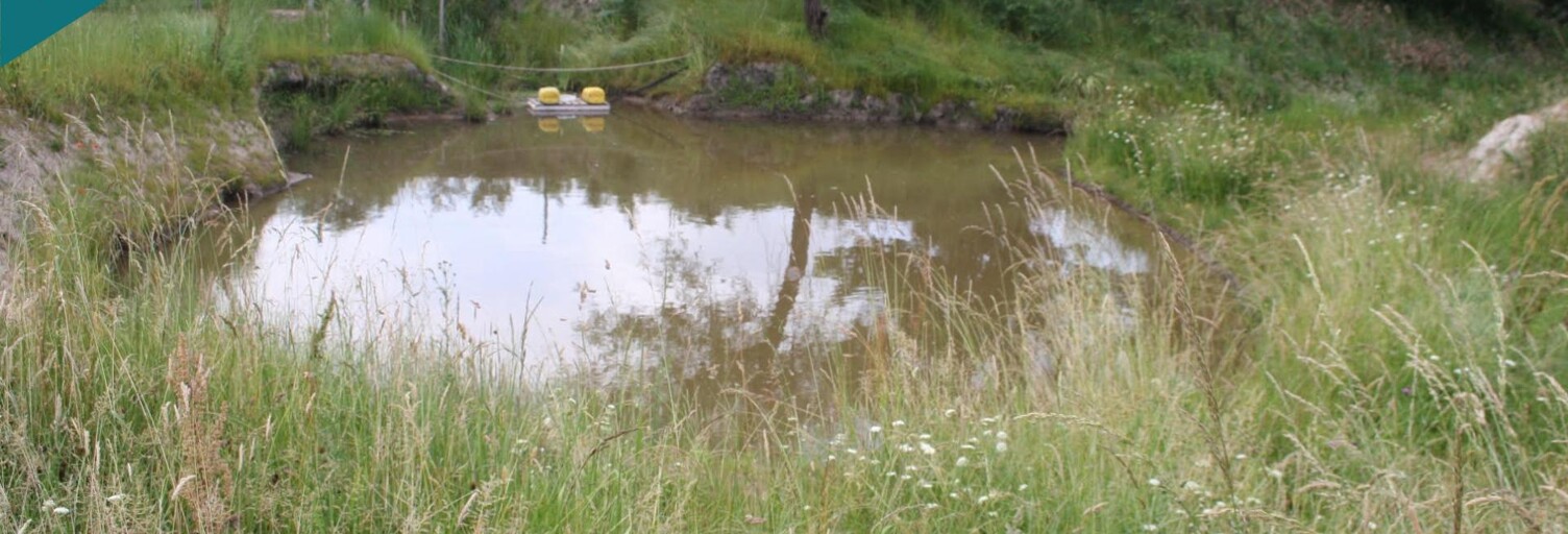 Terrain  9157 m² à vendre à Saint-Palais (33820)