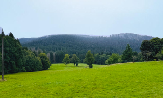 Terrain  19171 m² à vendre à Liézey (88400)