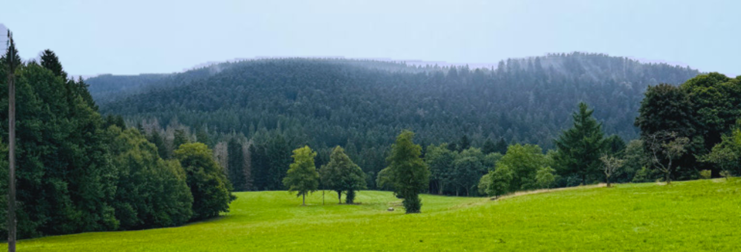 Terrain  19171 m² à vendre à Liézey (88400)