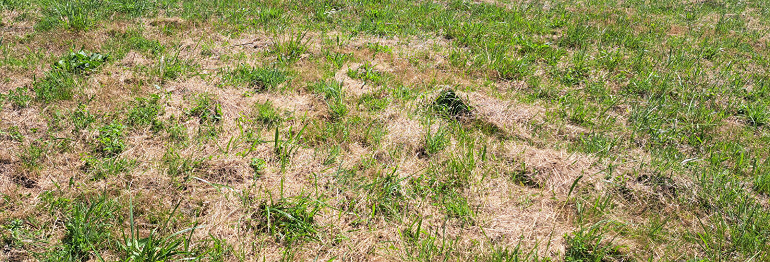 Terrain  564 m² à vendre à Les Abrets en Dauphiné (38490)