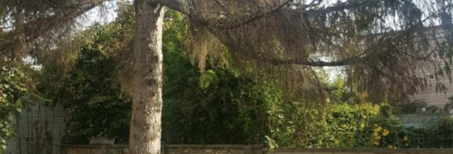 Terrain  431 m² à vendre à Montreuil (93100)