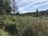 Terrain à bâtir de 0 pièces principales — photo 3