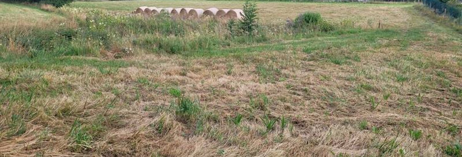 Terrain  995 m² à vendre à Hiis (65200)